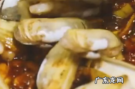 蛏子怎么炒好吃,sheng&#039;yi蛏子怎么清洗