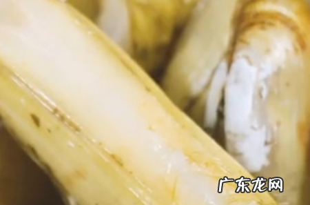 蛏子怎么炒好吃,sheng&#039;yi蛏子怎么清洗