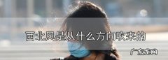 西北风是指从什么方吹向什么方的风,西北风是从什么方向吹来的风