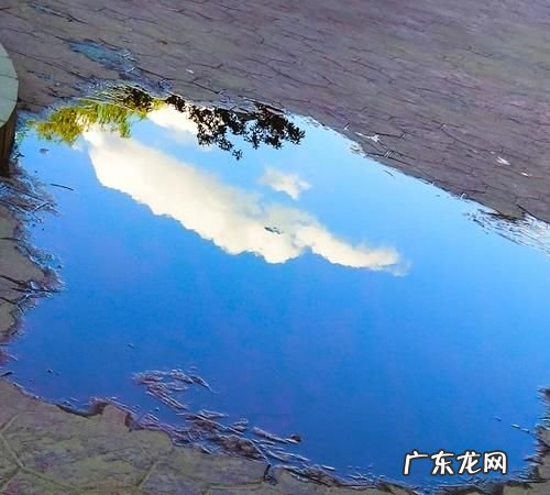 怎么样拍摄倒影,手机拍摄倒影的技巧
