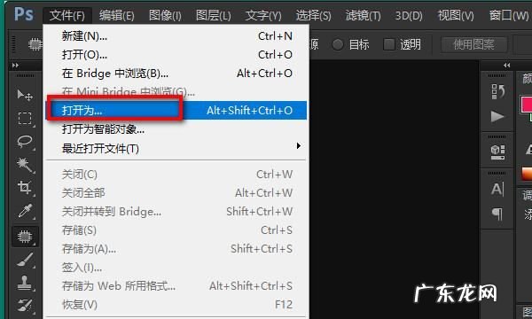 raw格式用什么软件打开,ps不能打开raw格式文件