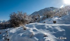 单反怎么样拍雪景,梦见雪茫茫一片