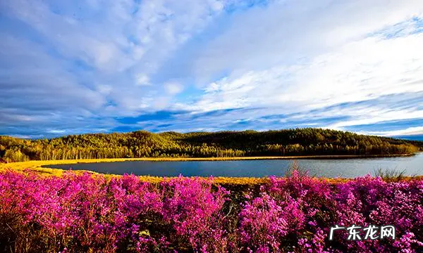 有关春天的诗歌,以春天为主题的小诗歌有哪些