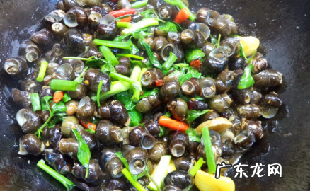螺怎么炒好吃,螺蛳肉怎么炒好吃又嫩
