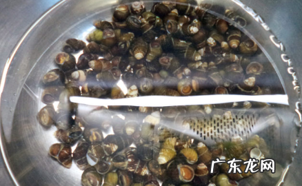 螺怎么炒好吃,螺蛳肉怎么炒好吃又嫩