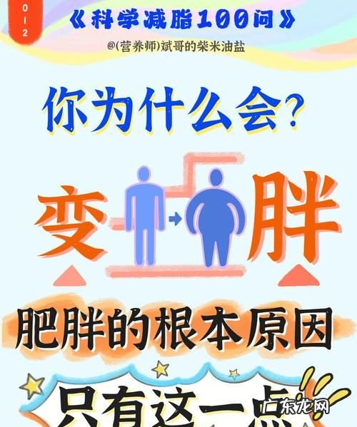 一直胖是什么原因,腹部变胖是什么原因