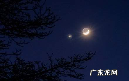 离月亮最近的星星是什么星,离月亮最近的那颗星叫什么