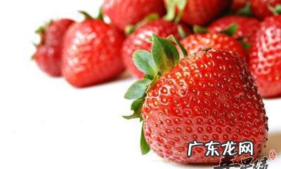 西瓜含钾高吗,西瓜的钾是多少