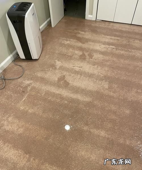 湿地毯怎么快速弄干,地毯被水泡后如何快速弄干净