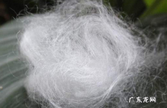 纤维棉是纯棉,植物纤维好还是纯棉好