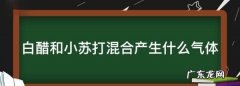 白醋加小苏打产生的气体是什么,白醋和小苏打混合产生什么气体