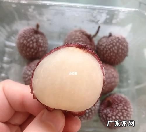 荔枝冷冻可以放多久,荔枝可以放冷冻能保存多久