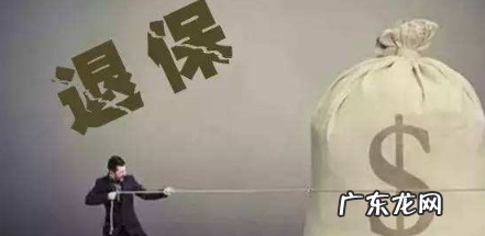 中国人寿犹豫期退保怎么退,中国人寿保险如何退保流程