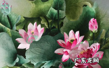 绣花花生香是指什么刺绣,绣花花生香指的是什么