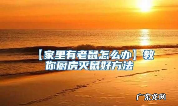 家里有耗子怎么清除,家里有老鼠怎么办