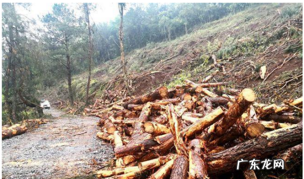 泥石流发生需要三个必备条件,简述泥石流的形成条件及防治措施