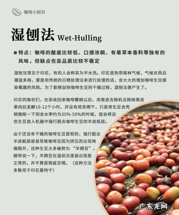 咖啡生豆加工处理方法有哪几种,咖啡豆的处理方法有哪些
