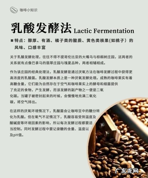咖啡生豆加工处理方法有哪几种,咖啡豆的处理方法有哪些