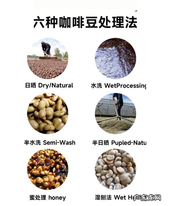 咖啡生豆加工处理方法有哪几种,咖啡豆的处理方法有哪些