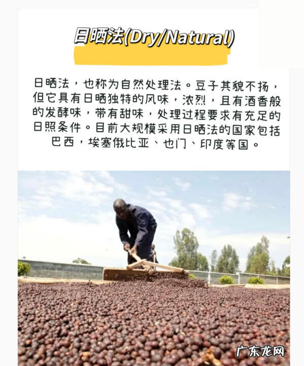 咖啡生豆加工处理方法有哪几种,咖啡豆的处理方法有哪些