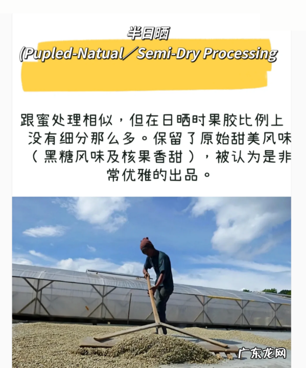 咖啡生豆加工处理方法有哪几种,咖啡豆的处理方法有哪些