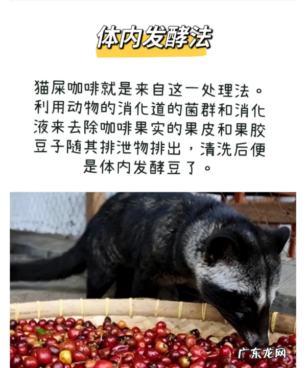 咖啡生豆加工处理方法有哪几种,咖啡豆的处理方法有哪些