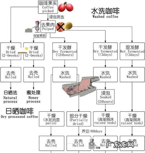 咖啡生豆加工处理方法有哪几种,咖啡豆的处理方法有哪些