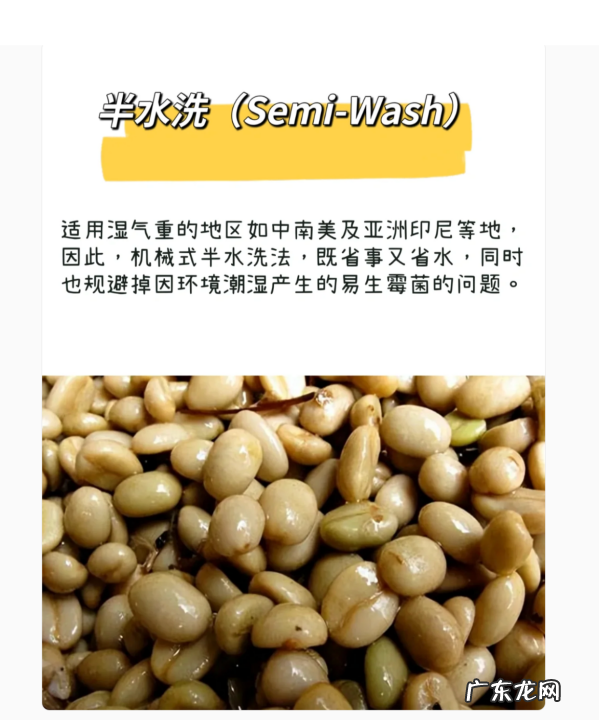 咖啡生豆加工处理方法有哪几种,咖啡豆的处理方法有哪些