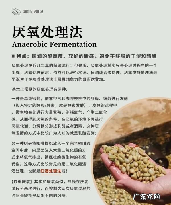 咖啡生豆加工处理方法有哪几种,咖啡豆的处理方法有哪些