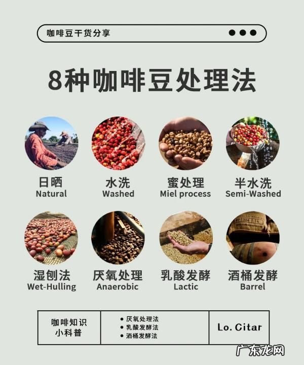 咖啡生豆加工处理方法有哪几种,咖啡豆的处理方法有哪些