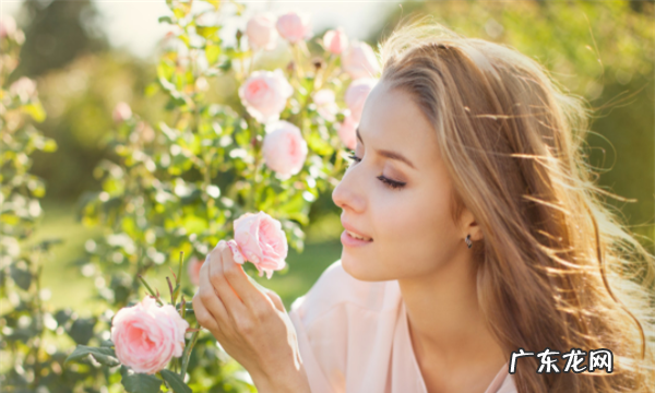 怎么样拍出小清新照片,如何拍出小清新的照片