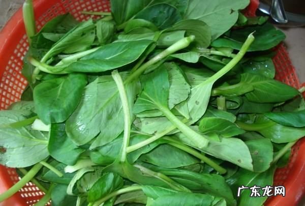 青菜炒香菇怎么炒,香菇青菜怎么炒好吃