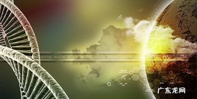 生命科学是什么,生命科学是什么