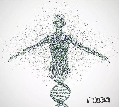 生命科学是什么,生命科学是什么