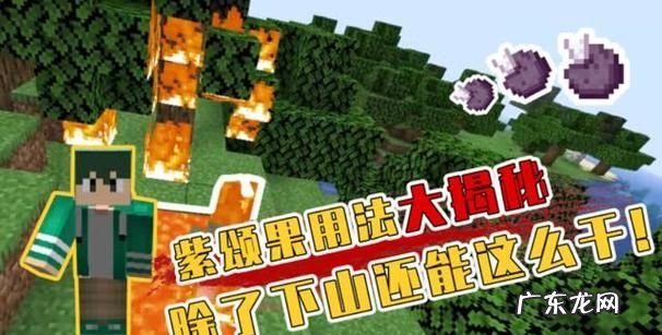 我的世界手机版紫颂植物怎么获得,我的世界紫颂果如何种植