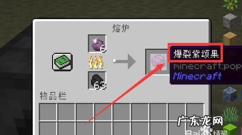 我的世界手机版紫颂植物怎么获得,我的世界紫颂果如何种植