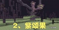我的世界手机版紫颂植物怎么获得,我的世界紫颂果如何种植