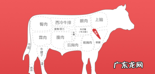 牛排什么部位最嫩,牛排哪个部位最嫩