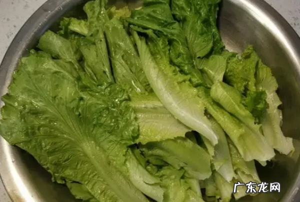 蚝油生菜的做法,蚝油生菜的做法