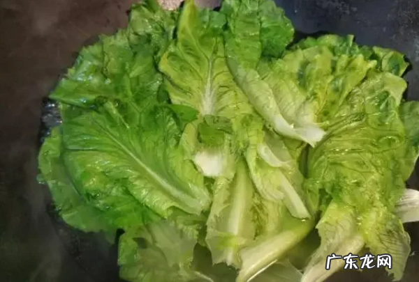 蚝油生菜的做法,蚝油生菜的做法