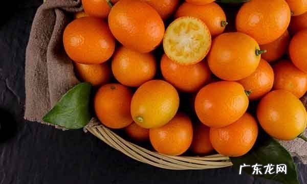 哪些人不宜吃金桔,哪些人不宜吃金桔饼