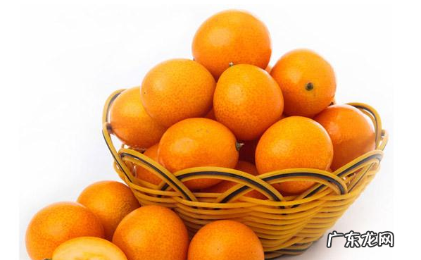 哪些人不宜吃金桔,哪些人不宜吃金桔饼