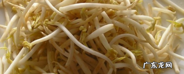 炒豆芽怎么炒,小豆芽怎么炒好吃