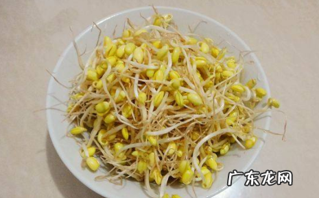 炒豆芽怎么炒,小豆芽怎么炒好吃