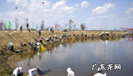 冬季黑坑糗鱼技巧,黑坑钓鱼技巧