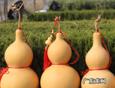 葫芦里卖的什么药意思,葫芦里卖的什么药与壶公传说相关