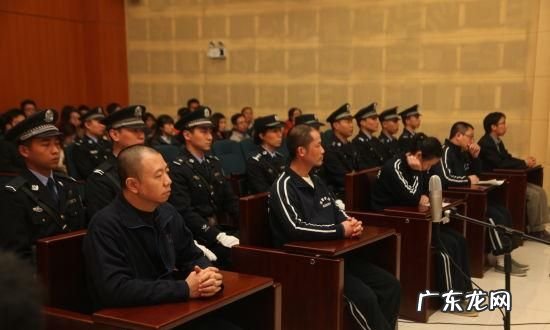 怀孕经济犯罪怎么判刑,怀孕可以判刑