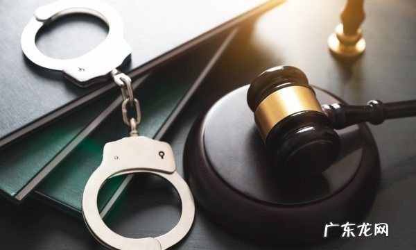 怀孕经济犯罪怎么判刑,怀孕可以判刑