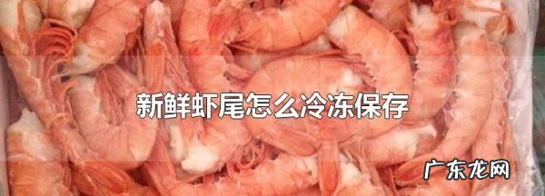 冷冻虾尾保质期多长时间,冷冻的虾尾能放多久