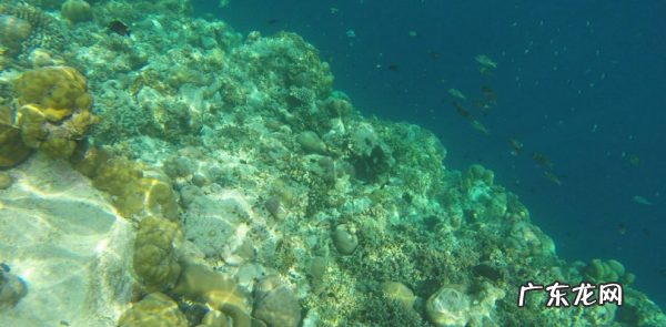 石头里面有空气,地下五米砂石中有空气嘛为什么